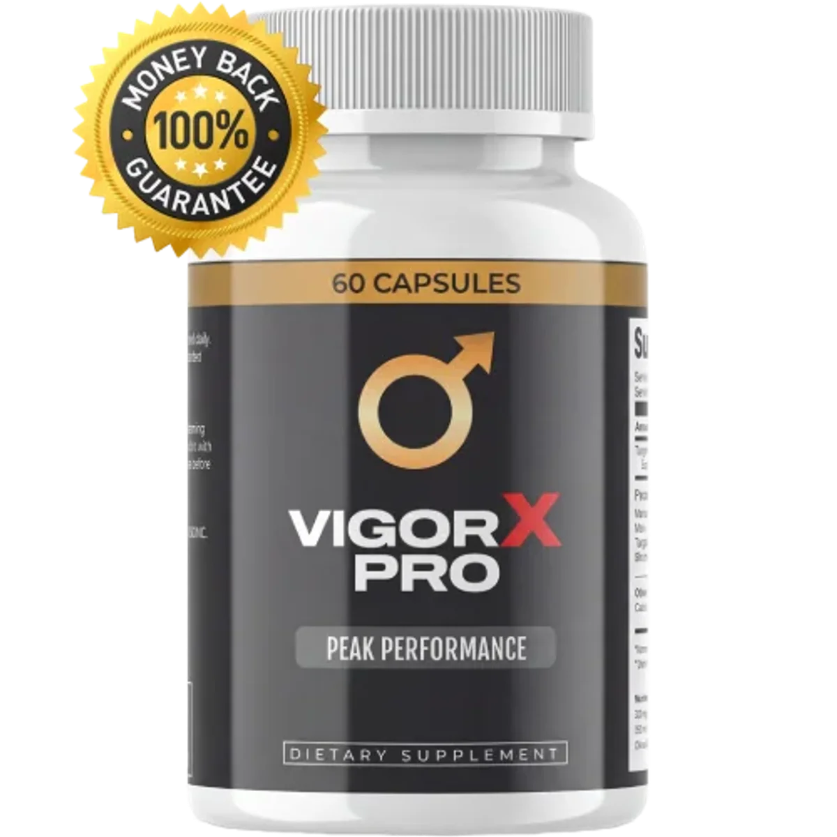 VigorX Pro